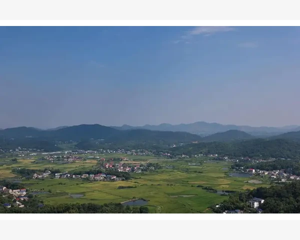 为什么现代人脾胃问题愈发严重？探寻背后原因与调理之道