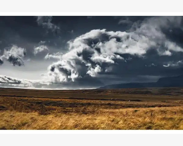 B2B电商平台类型全知晓